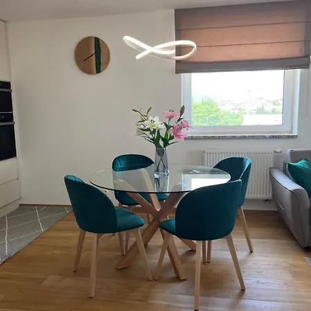 Apartment Downtown Darinka *