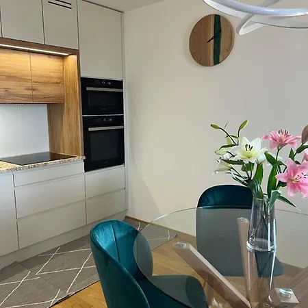 Downtown Darinka Apartman