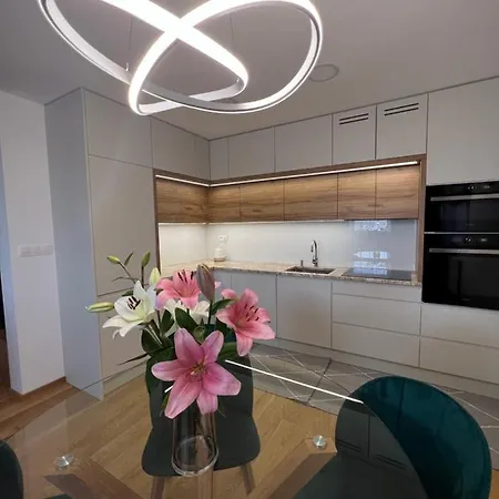 Downtown Darinka Lejlighed