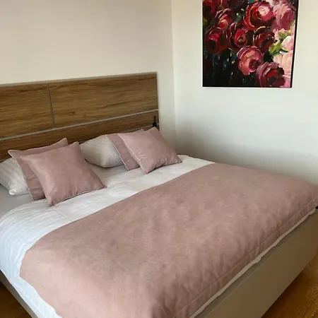 Apartment Downtown Darinka *