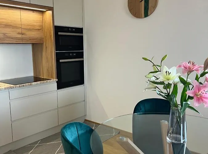 Downtown Darinka Appartement